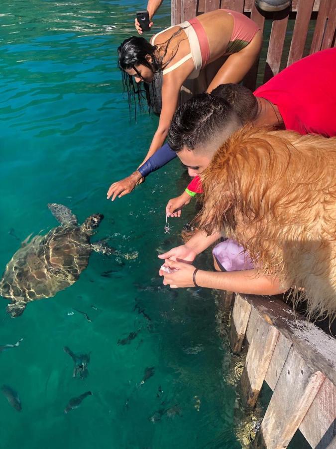 Pousada Conves - Ilha Grande Hotell Praia de Araçatiba Eksteriør bilde